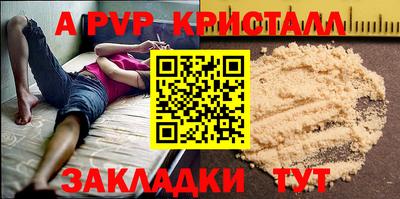 стаф Кунгур