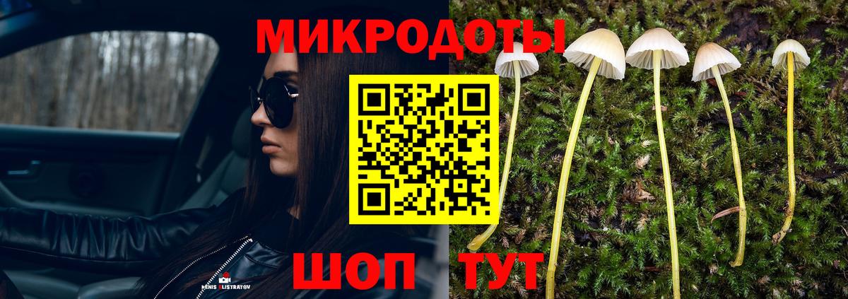 Псилоцибиновые грибы Magic Shrooms Кашира